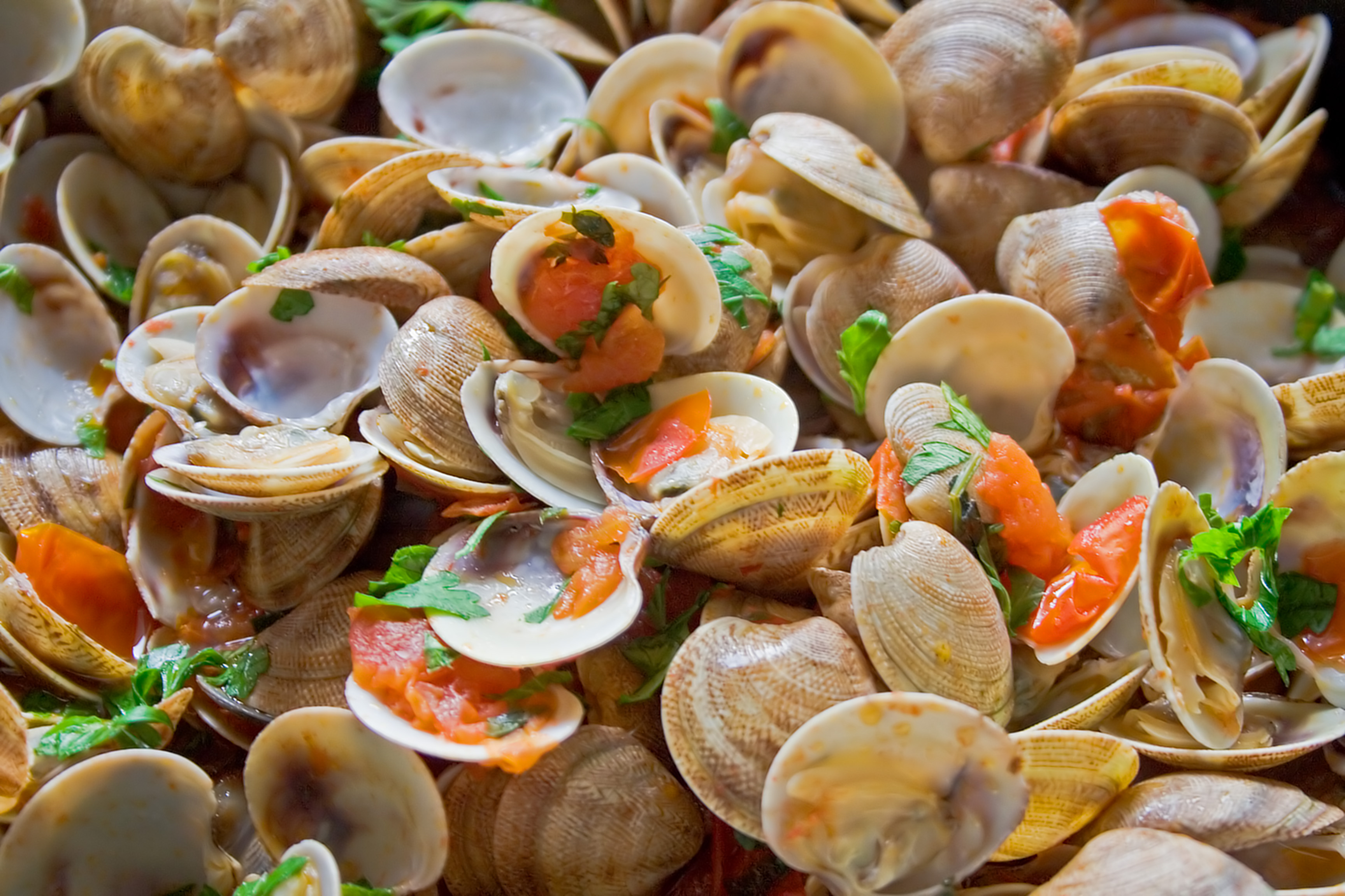 Разновидностью моллюсков являются ракушки, причем раковина чаще всего, как следует из названия   е, с формой сердца